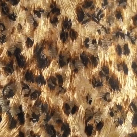 Leopard print ruched sides top - Picture 2 of 3